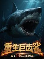 天朝哥是干嘛的
