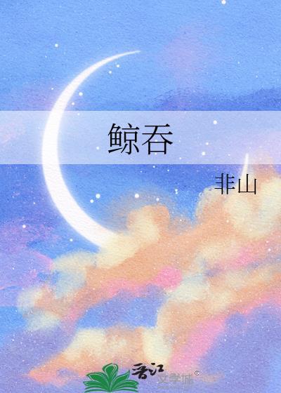 天朝是什么公司