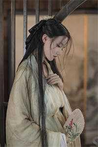 民国之铁血少帅 铁帅