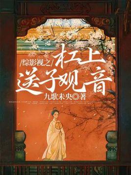 网游之暗影盗贼第一季动漫