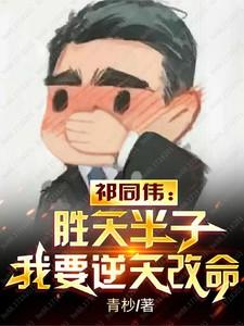 从山寨npc到大boss怎么样