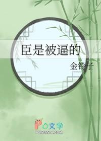 醉枕江山怎么样